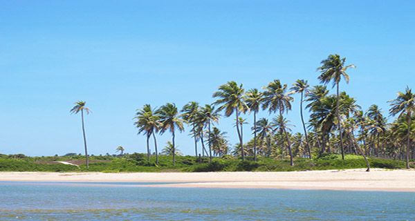 Praia de Guarajuba 