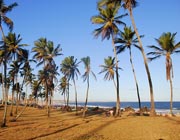 Visitantes na Praia de Salvador