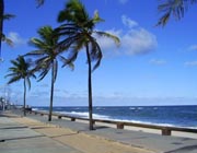 Caminhos na Praia Pituba em Salvador